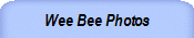 Wee Bee Photos